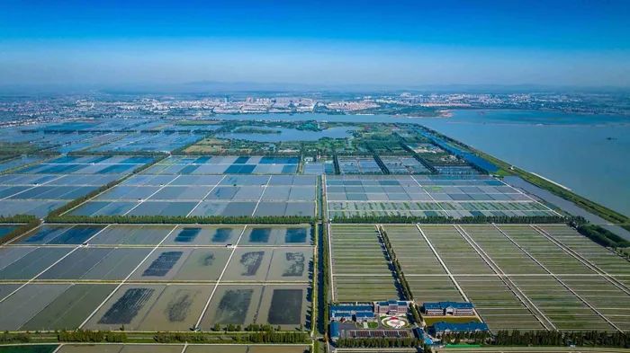 航拍高淳固城湖螃蟹核心區(qū)。高淳區(qū)融媒體中心供圖